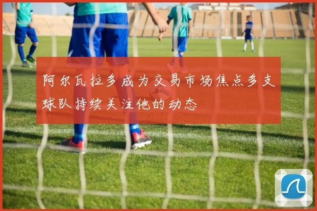阿尔瓦拉多成为交易市场焦点多支球队持续关注他的动态