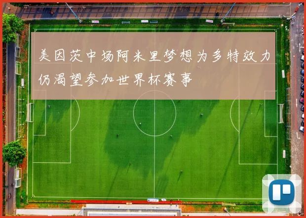 美因茨中场阿米里梦想为多特效力仍渴望参加世界杯赛事